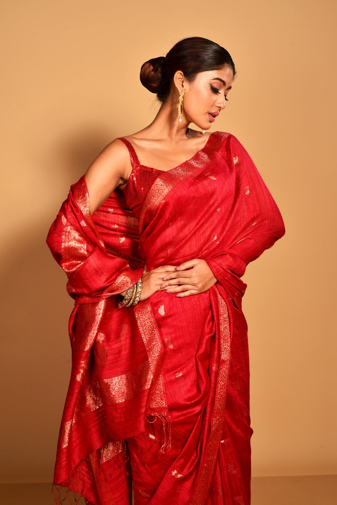 Red Pure Matka Silk Banarasi Handloom Saree