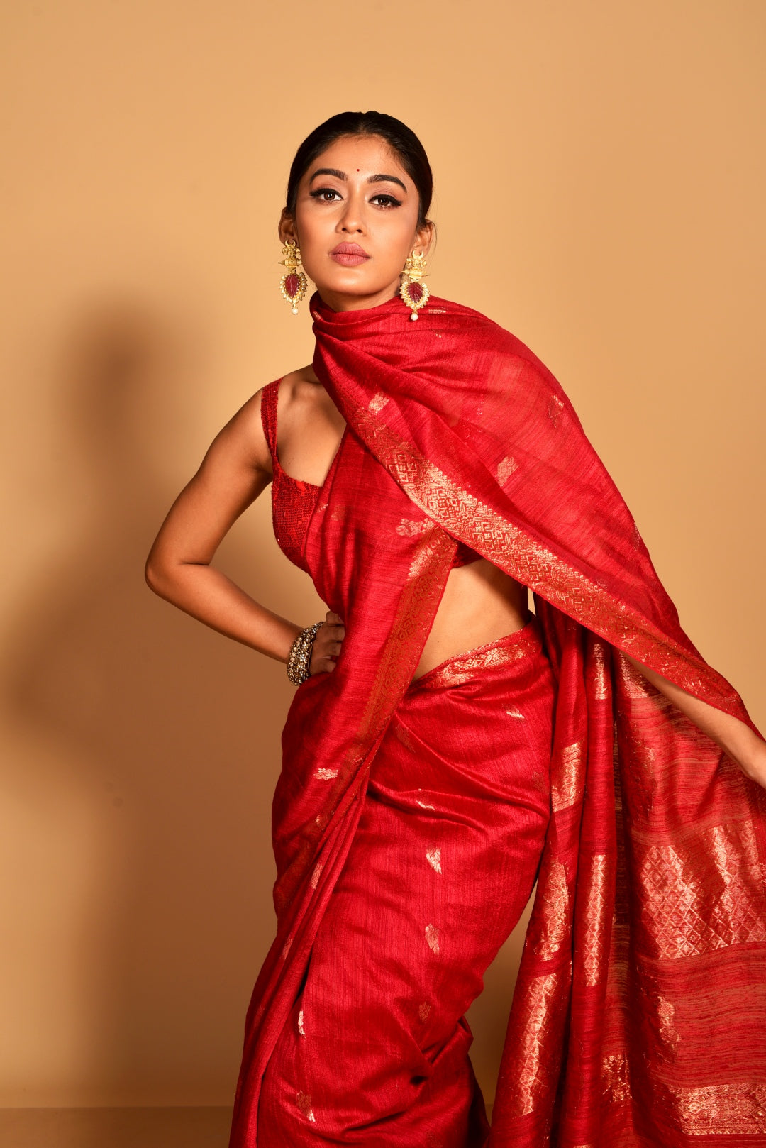 Red Pure Matka Silk Banarasi Handloom Saree
