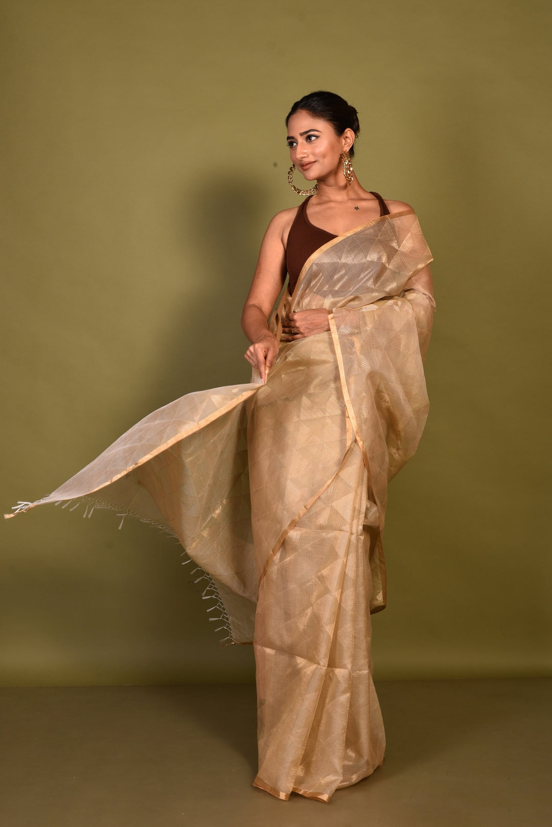 Beige Pure Organza Silk Jamdani Handloom Saree