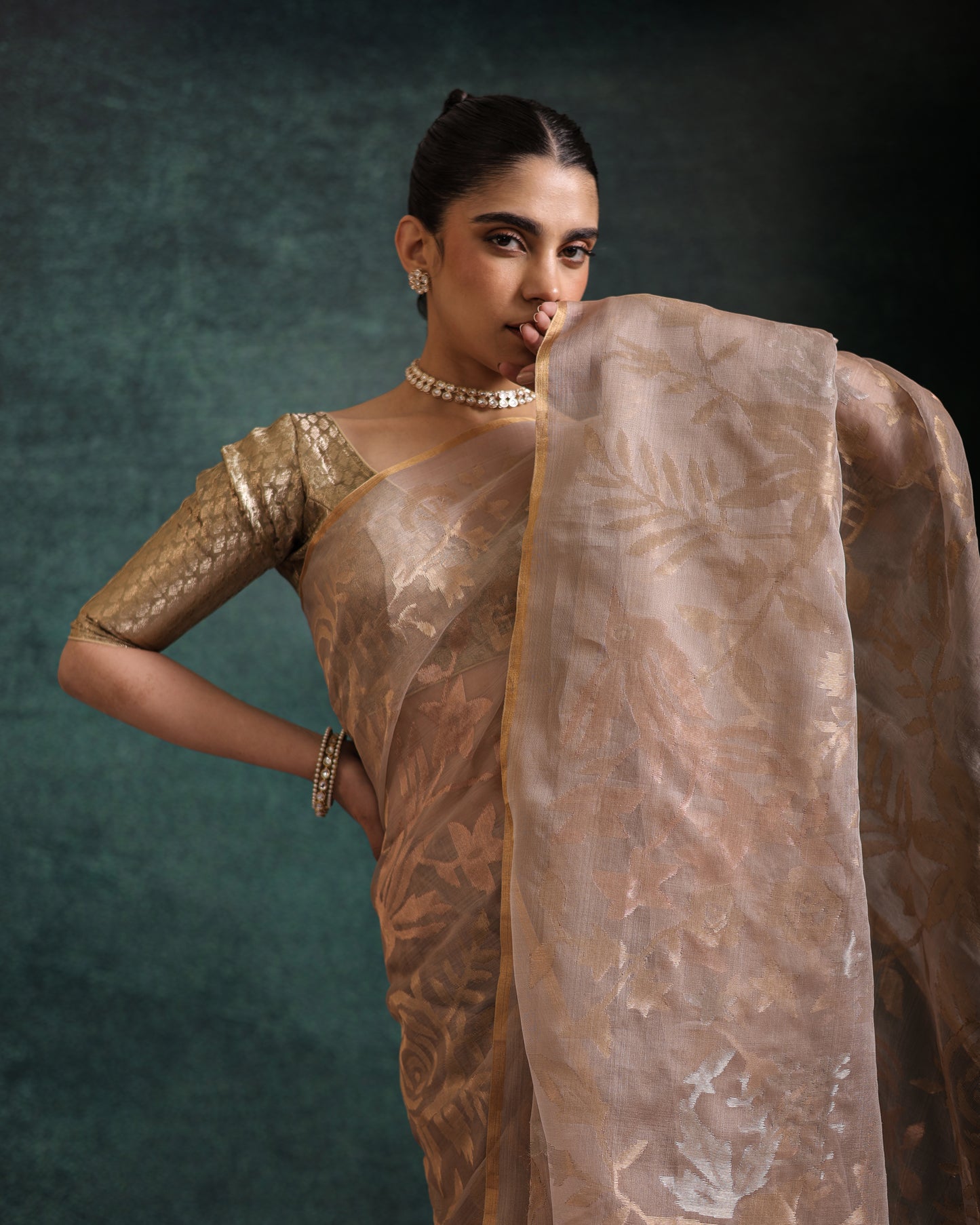 Brown Pure Organza Silk Jamdani Handloom Saree