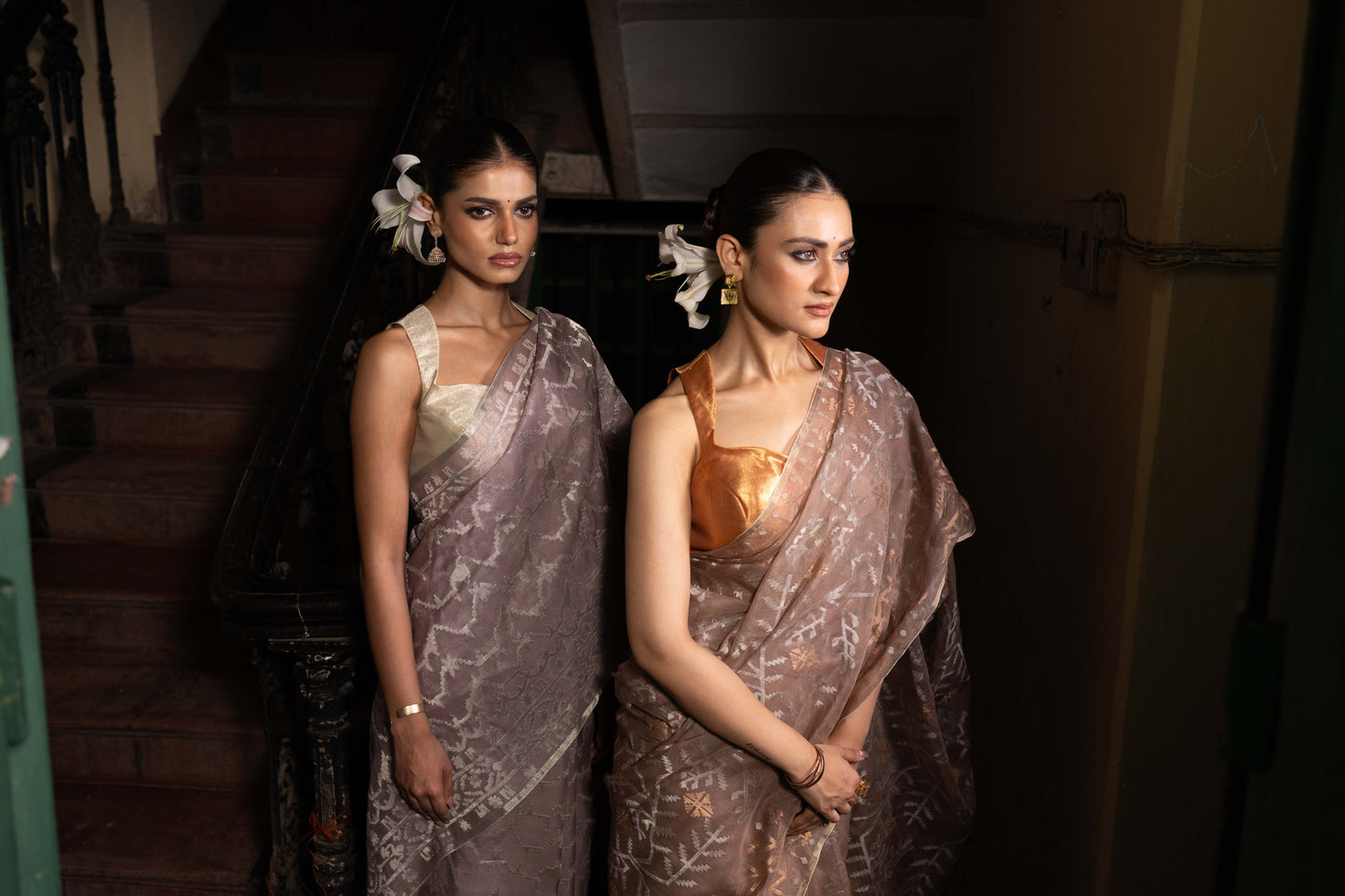 Brown Pure Organza Traditional Jamdani Saree
