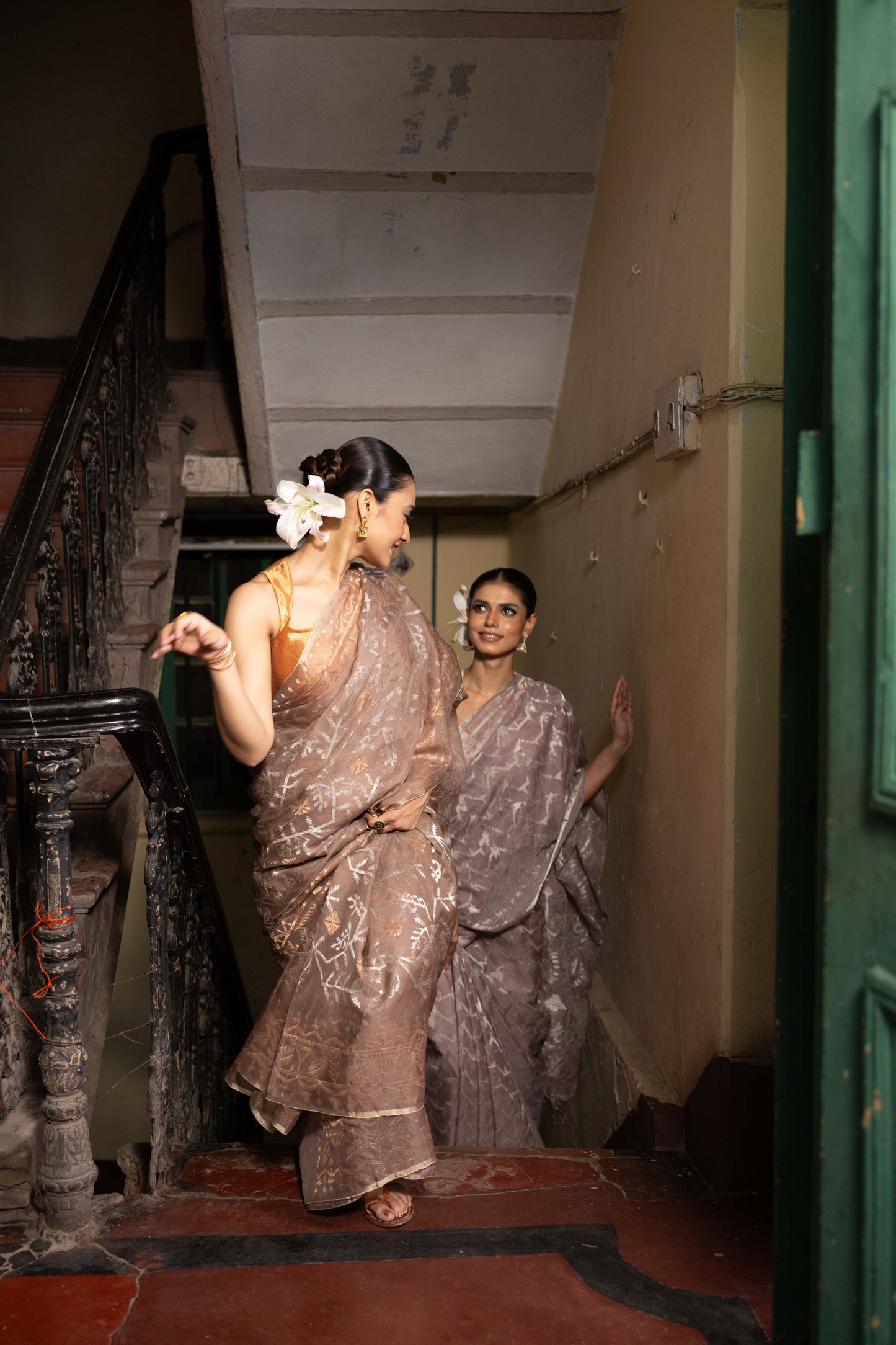 Brown Pure Organza Traditional Jamdani Saree