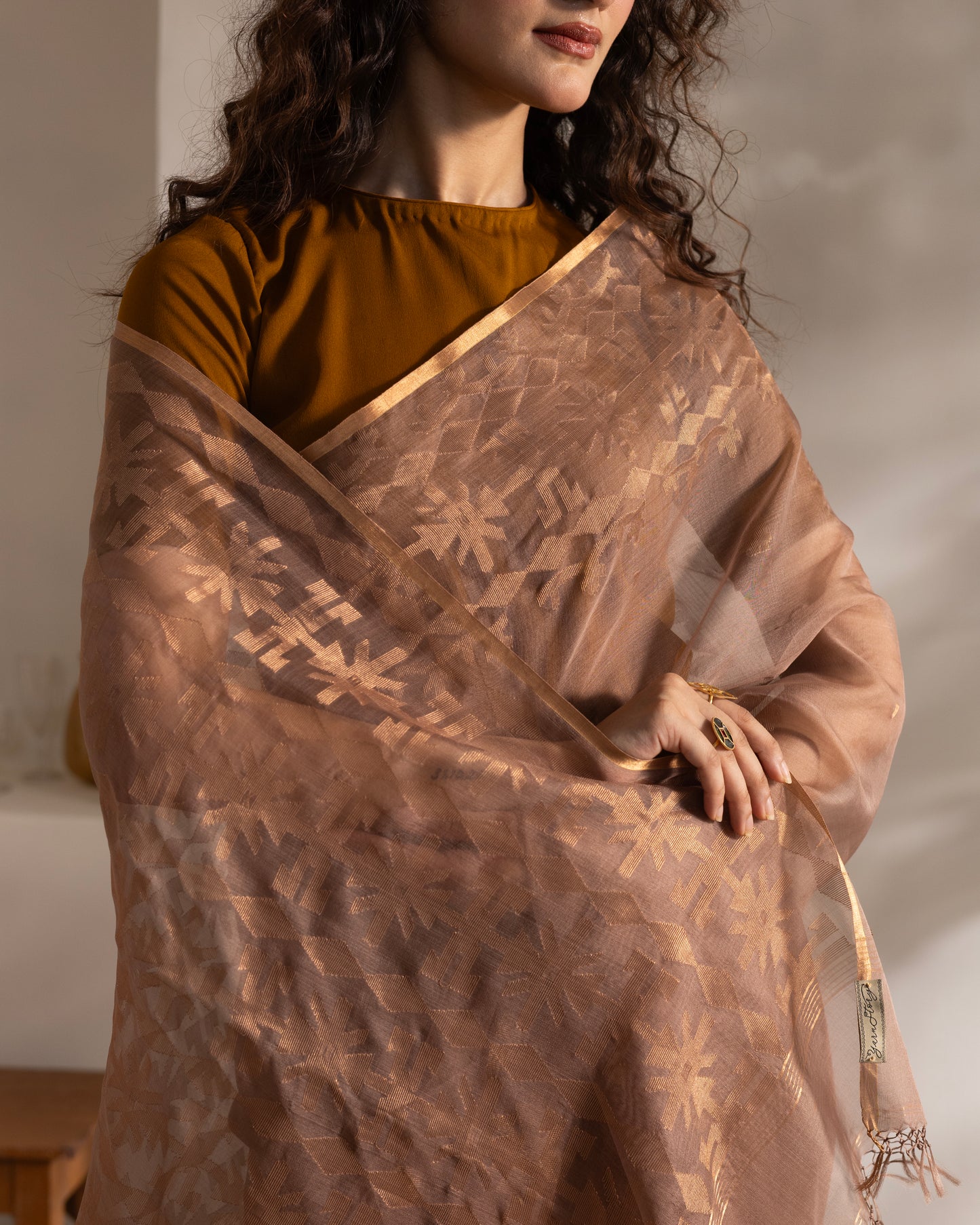 Brown Pure Organza Silk Traditional Jamdani Saree