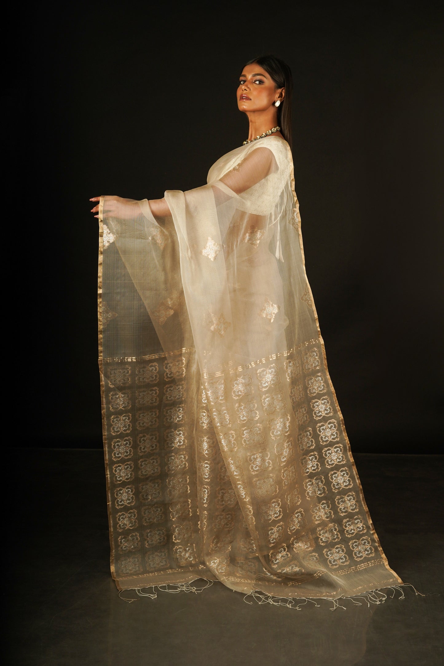 Beige Pure Organza Handloom Saree