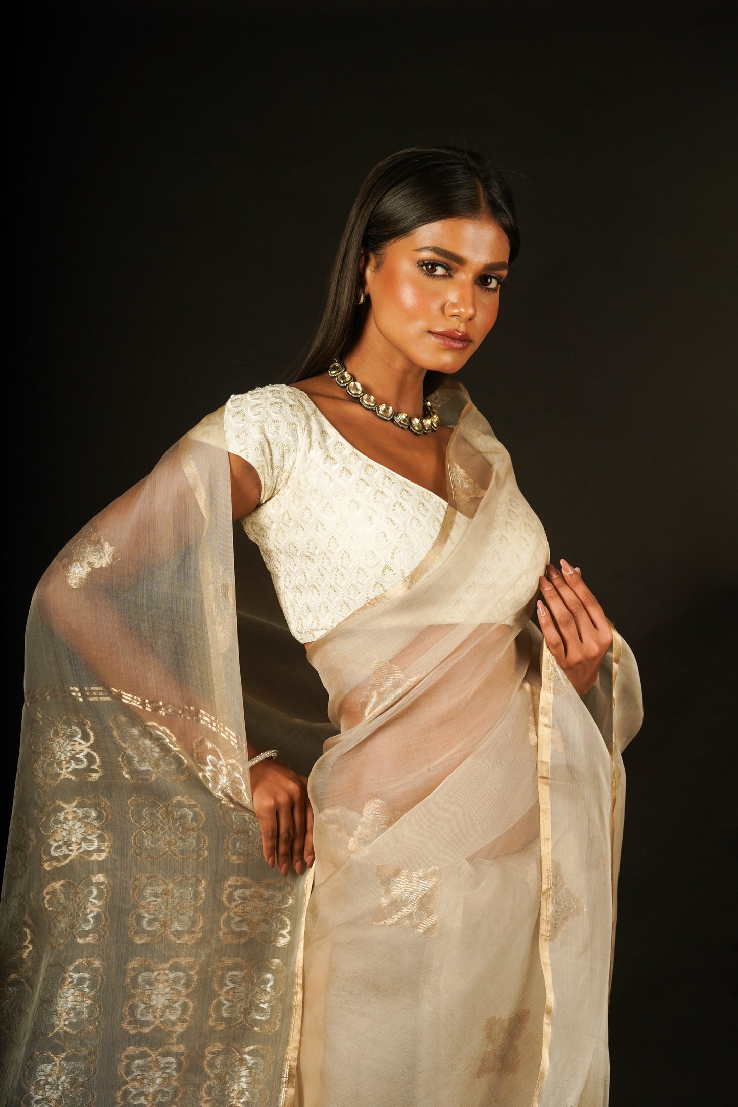 Beige Pure Organza Handloom Saree