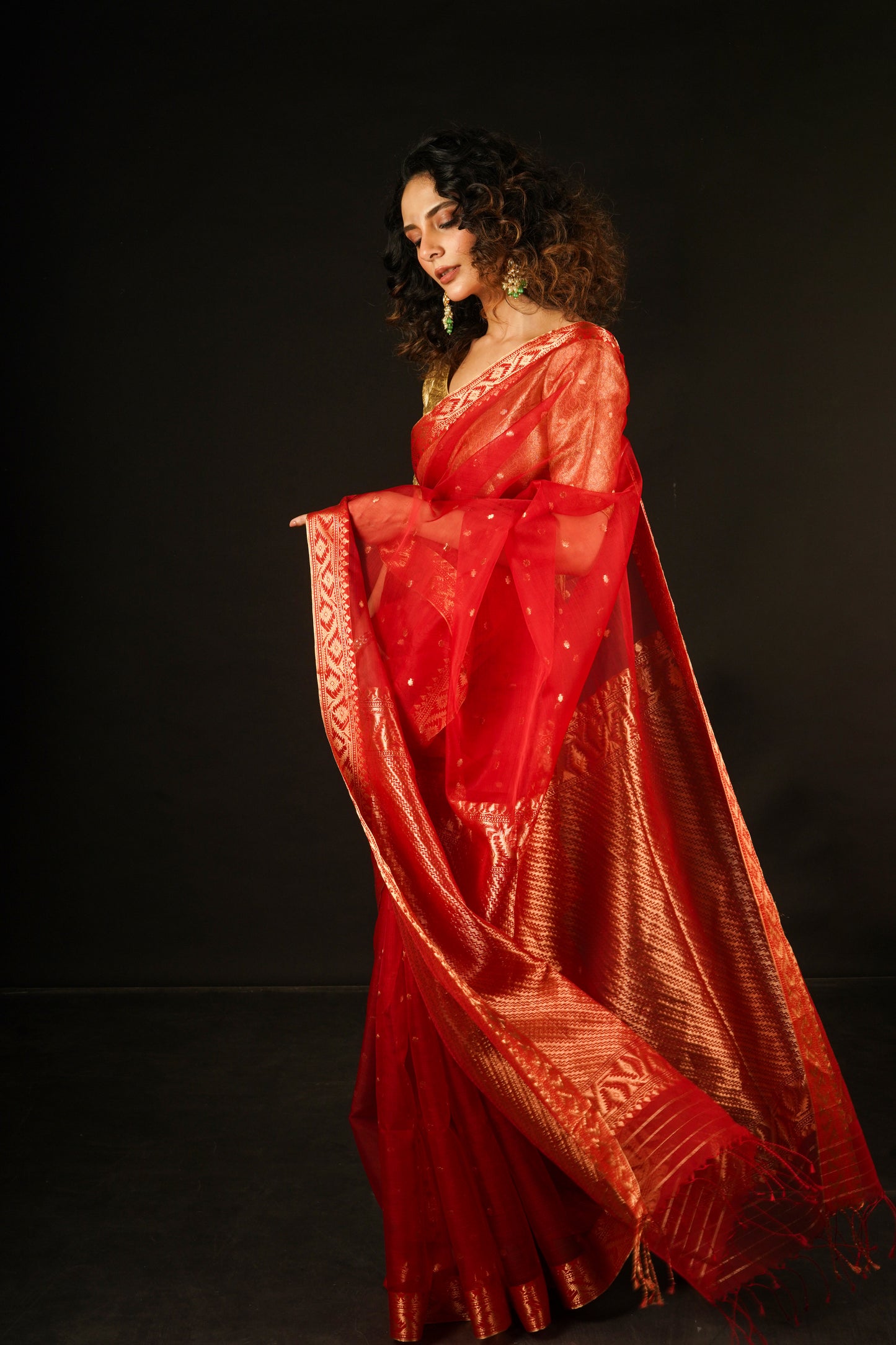 Red Pure Organza  Silk  Handloom Saree