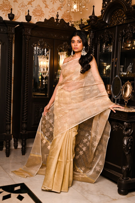 Golden Pure Organza and Matka Silk Handloom Saree (Pre-Order)