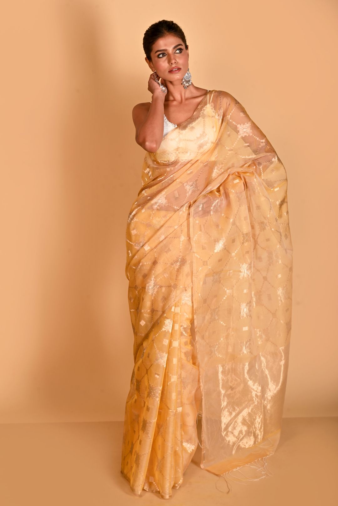 Golden Pure Organza Silk Handloom Saree